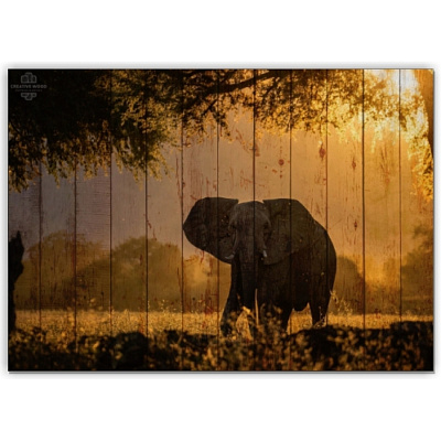 Картины Африка - Слон в пустыне, Африка, Creative Wood